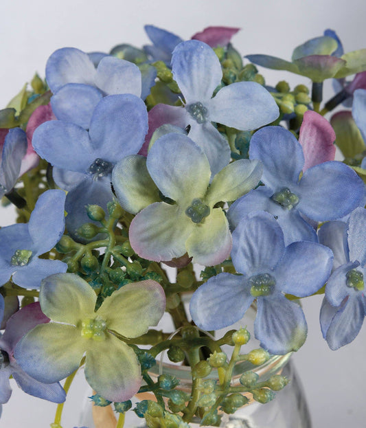 Blue Hydrangea in Glass Vase