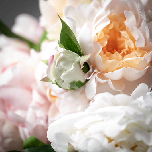 Spring Peony Arrangment (3 color)