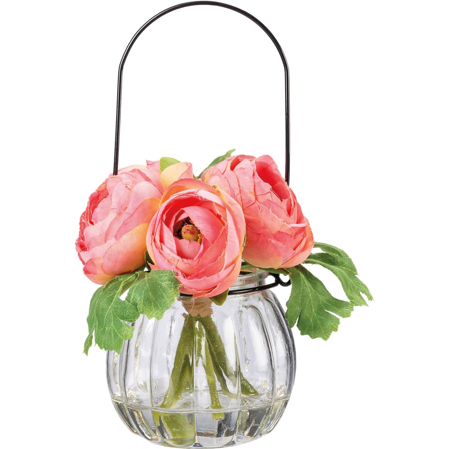 Pink Ranunculus in Glass Vase