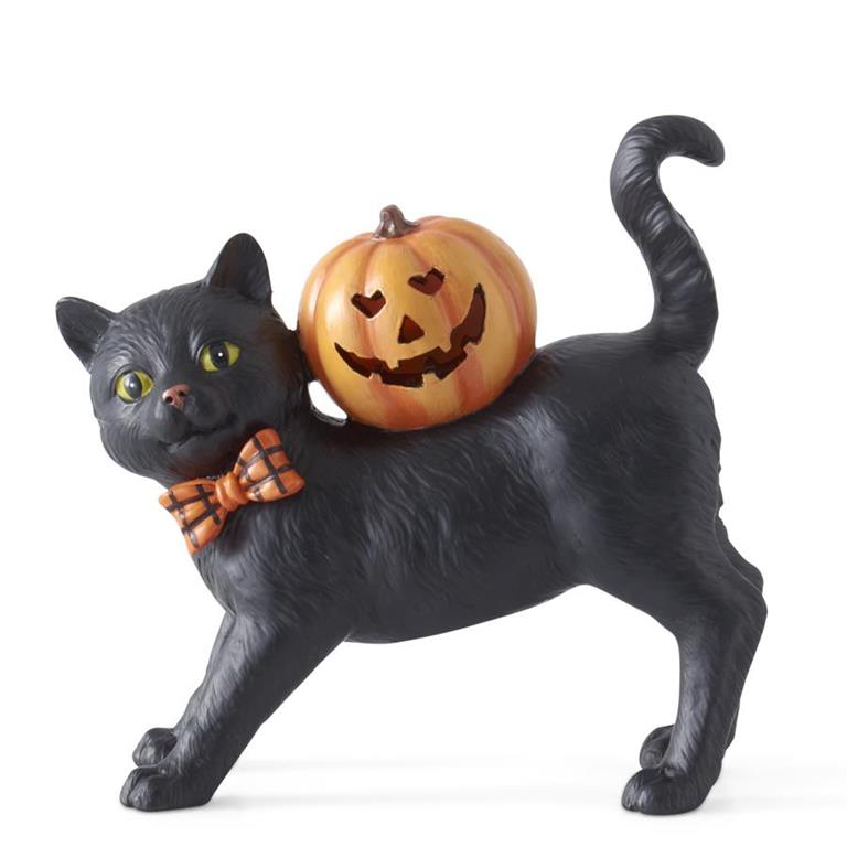 Black Cat with Led Pumpkin (2 Styles)