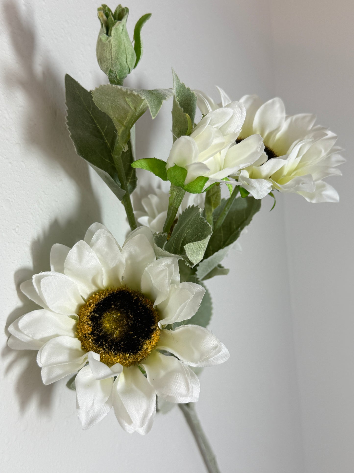 White Sunflower stem