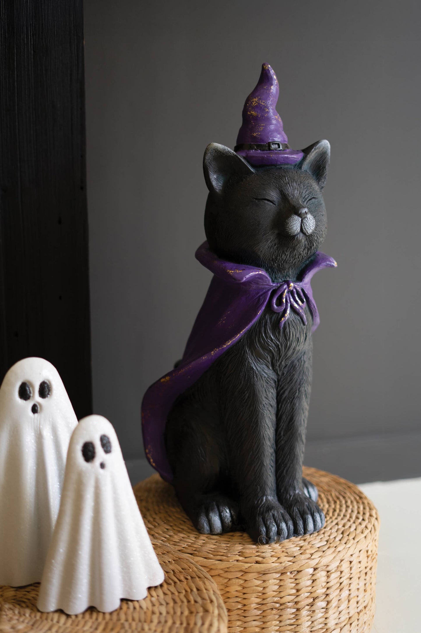 Magical Black Cat