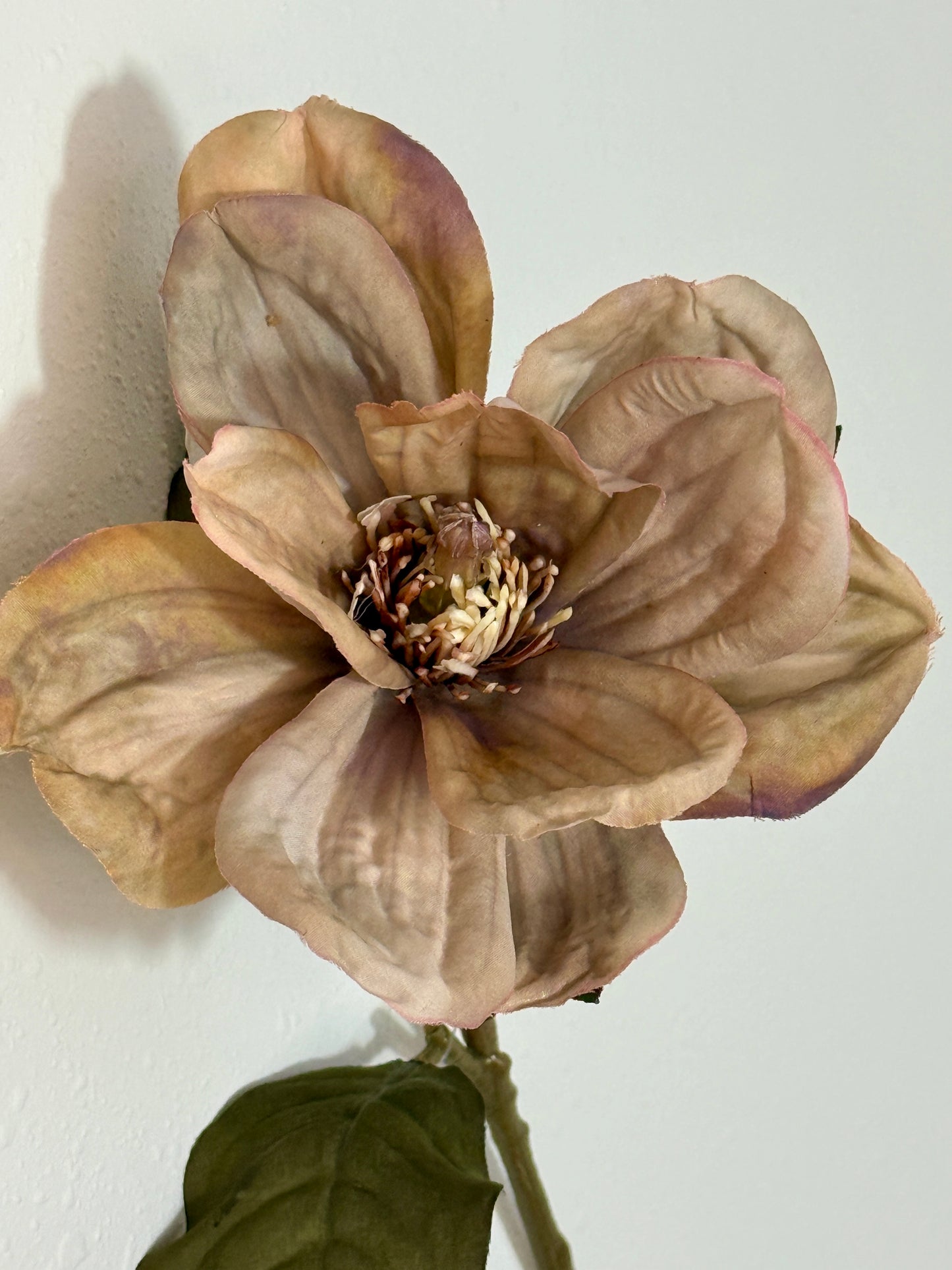 Dusty Taupe Magnolia Stem