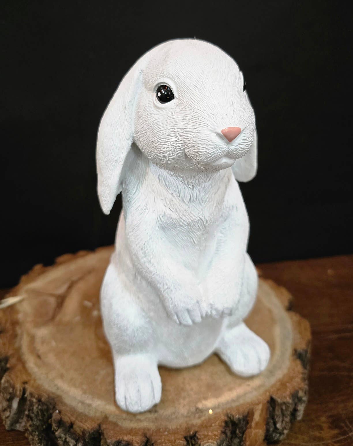 Cuddled Bunny