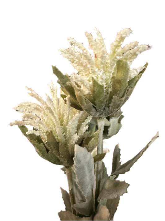 WHITE THISTLE WITH FOLIAGE STEM
