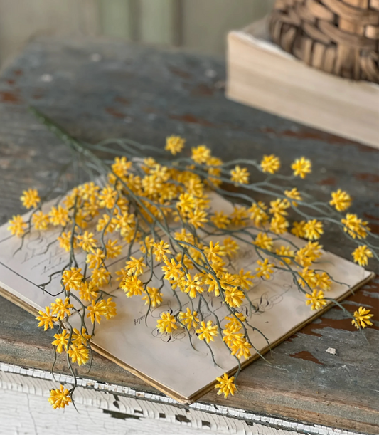 Chadwick Buds Bush - 18” - Yellow