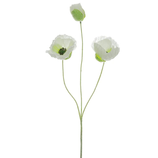 20" Poppy Spray (Cream)