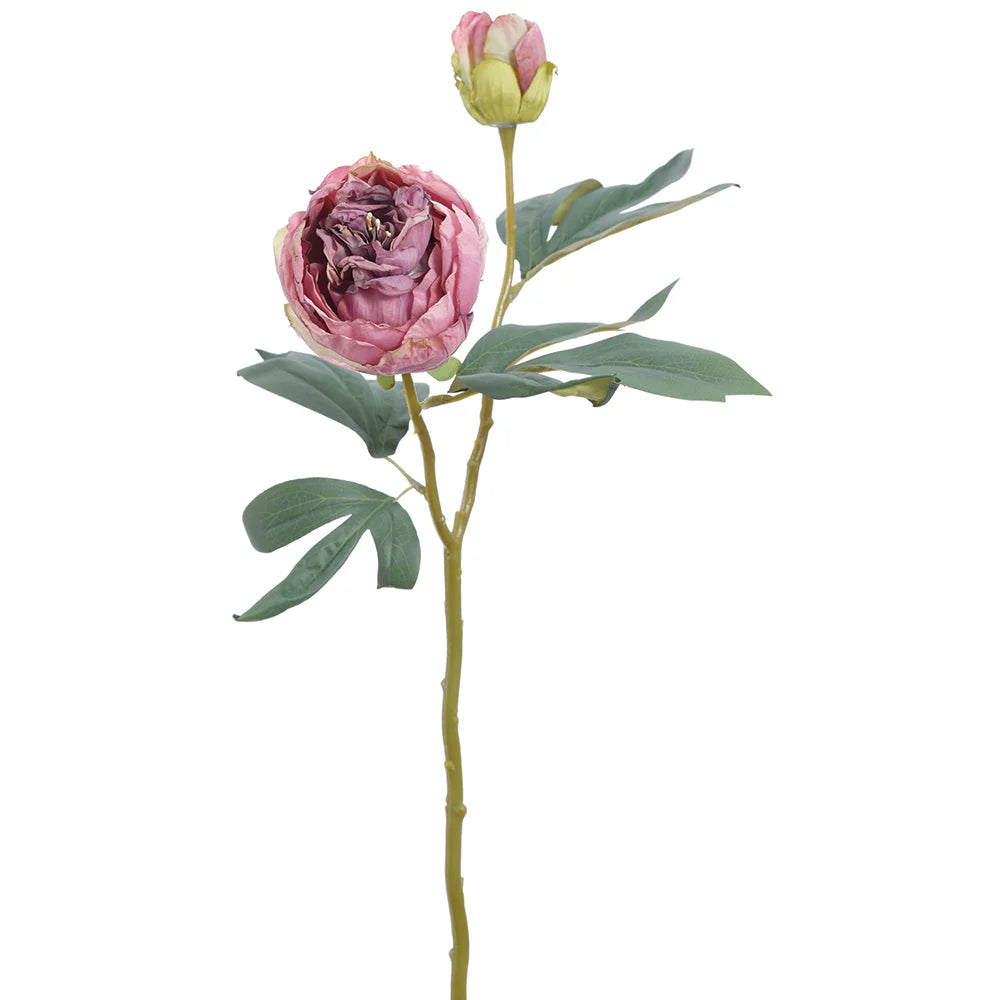 19.5" Real Touch Dried Peony Spray (Lavender)