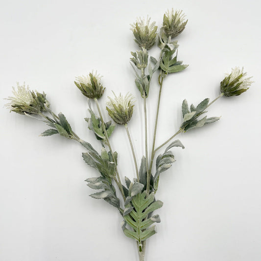 White Thistle Stem - 33”