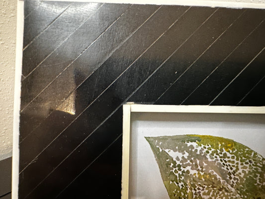 Scratch & Dent: Black and White Bone Frame