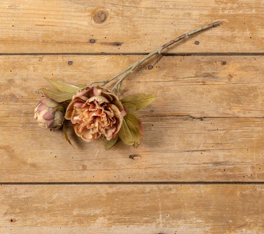 Sage & Mauve Peony Stem 13"