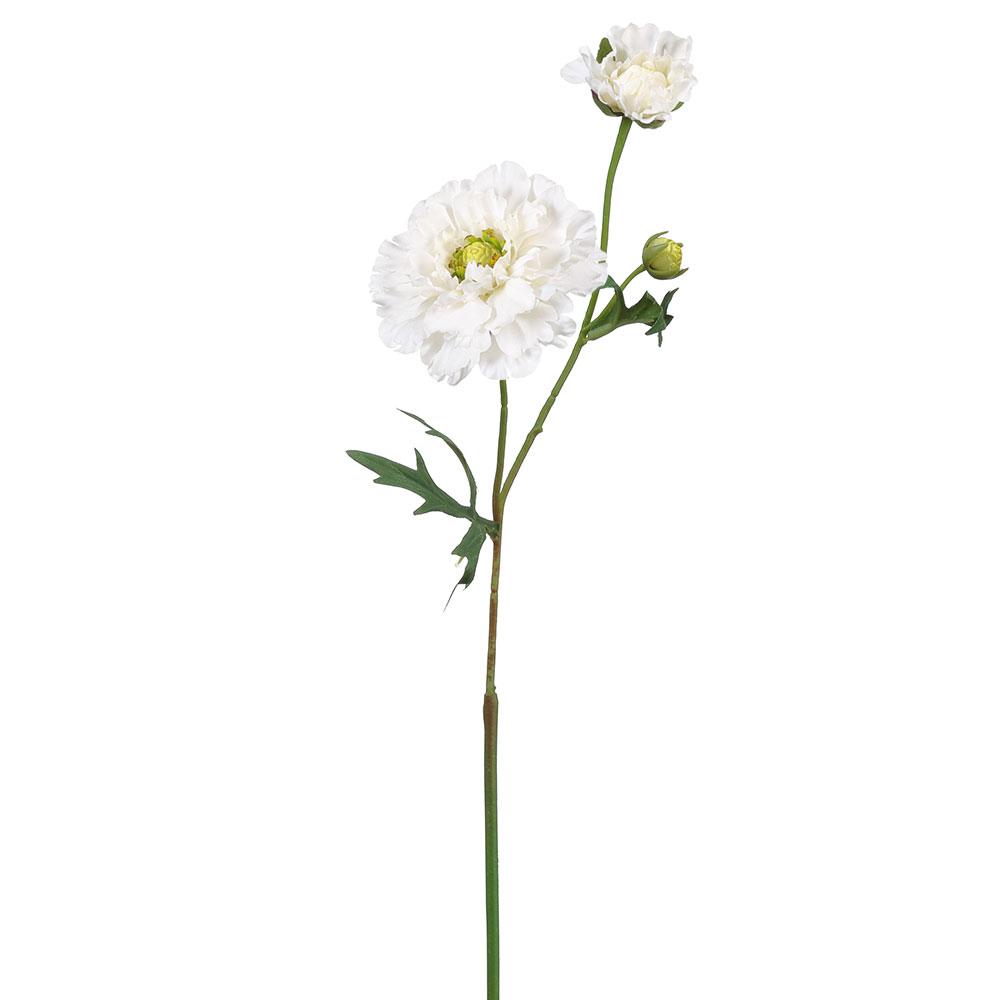 22.4" Ranunculus Spray (Cream)