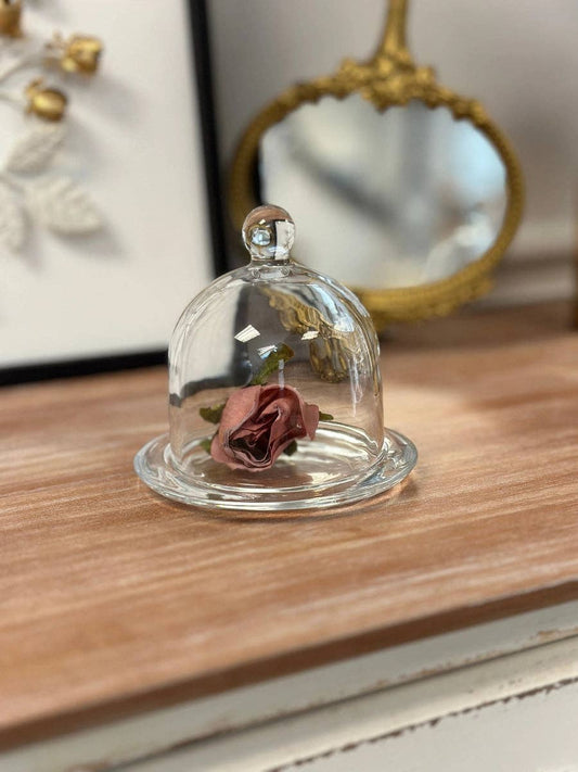 Glass Dome Display Cloche with Base (2 sizes)