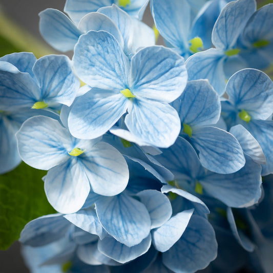Hydrangea Stem 12"- Blue