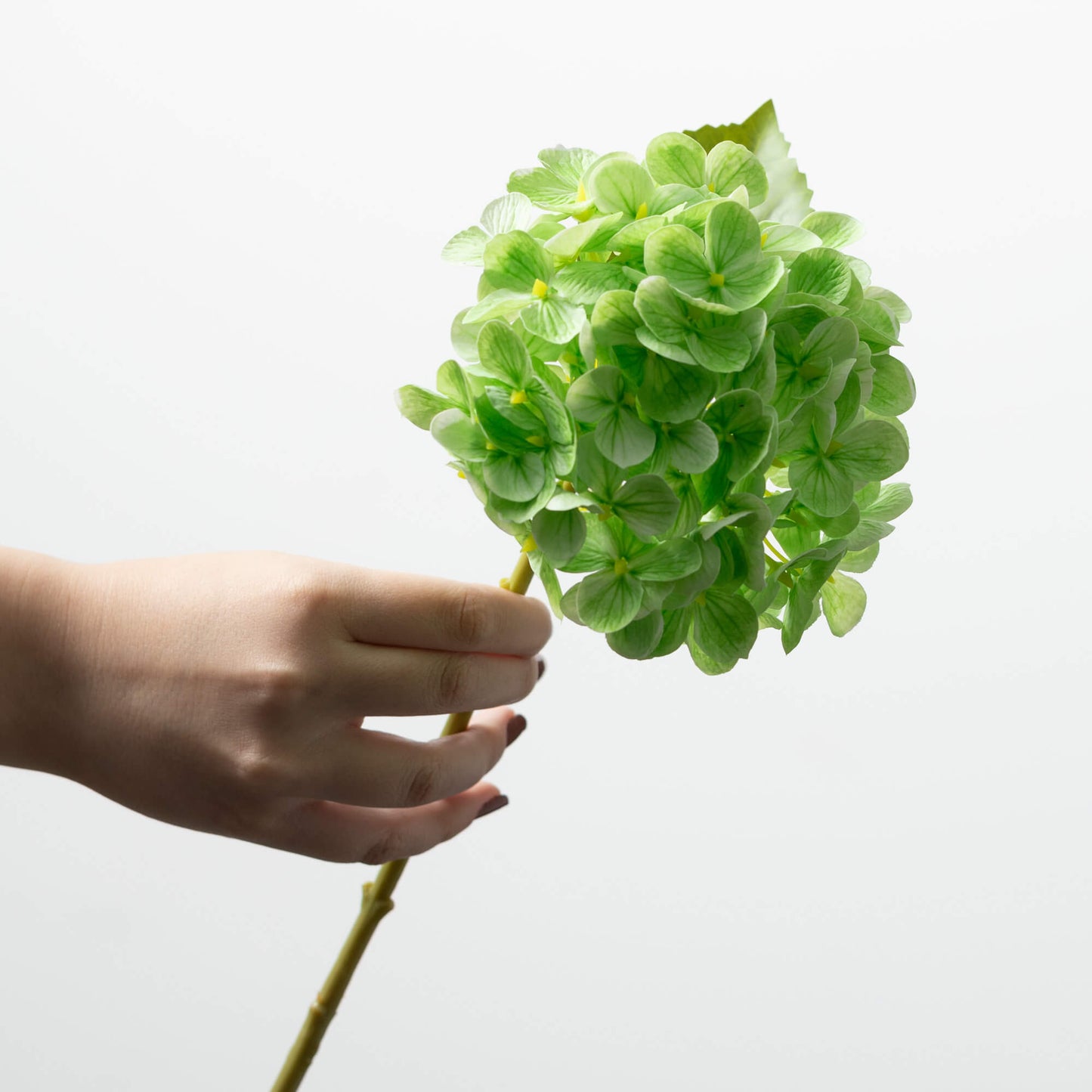 Hydrangea Stem 12"- Green