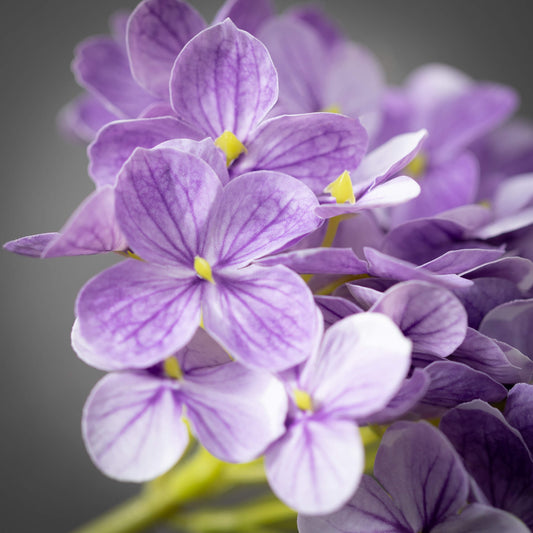 Hydrangea Stem 12" - Purple