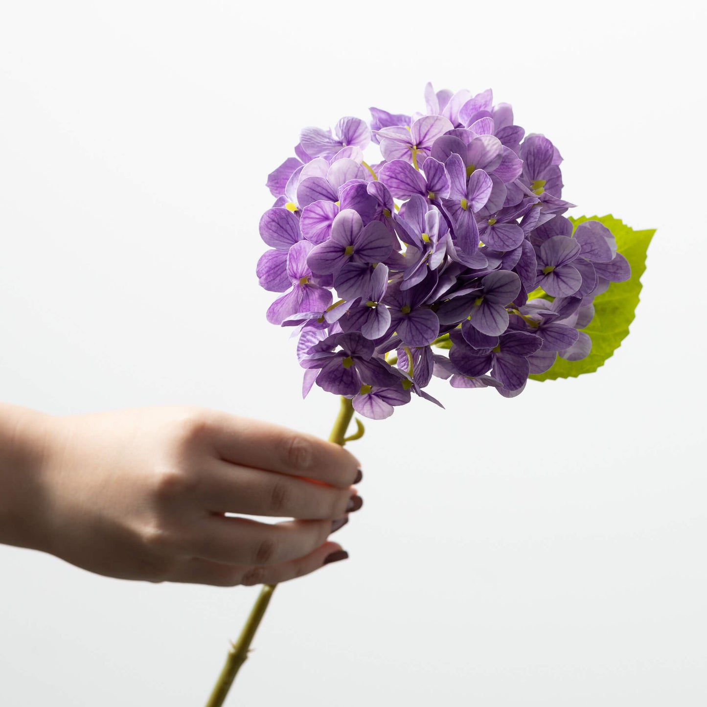 Hydrangea Stem 12" - Purple