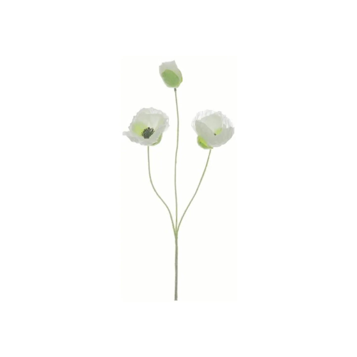 20" Poppy Spray (Cream)