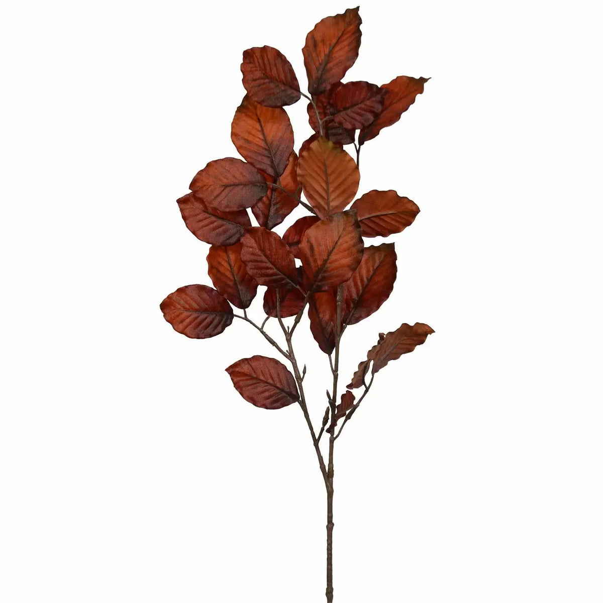 Beech Leaf Fall Spray (28")
