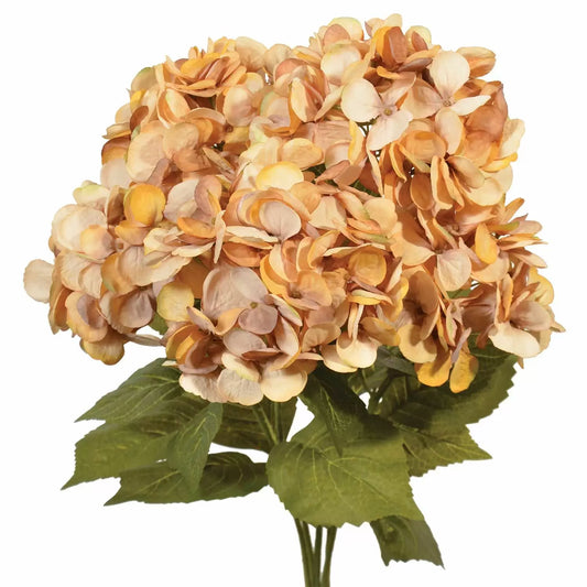 Hydrangea Bush - Gold & Beige - Fall Bush (23")