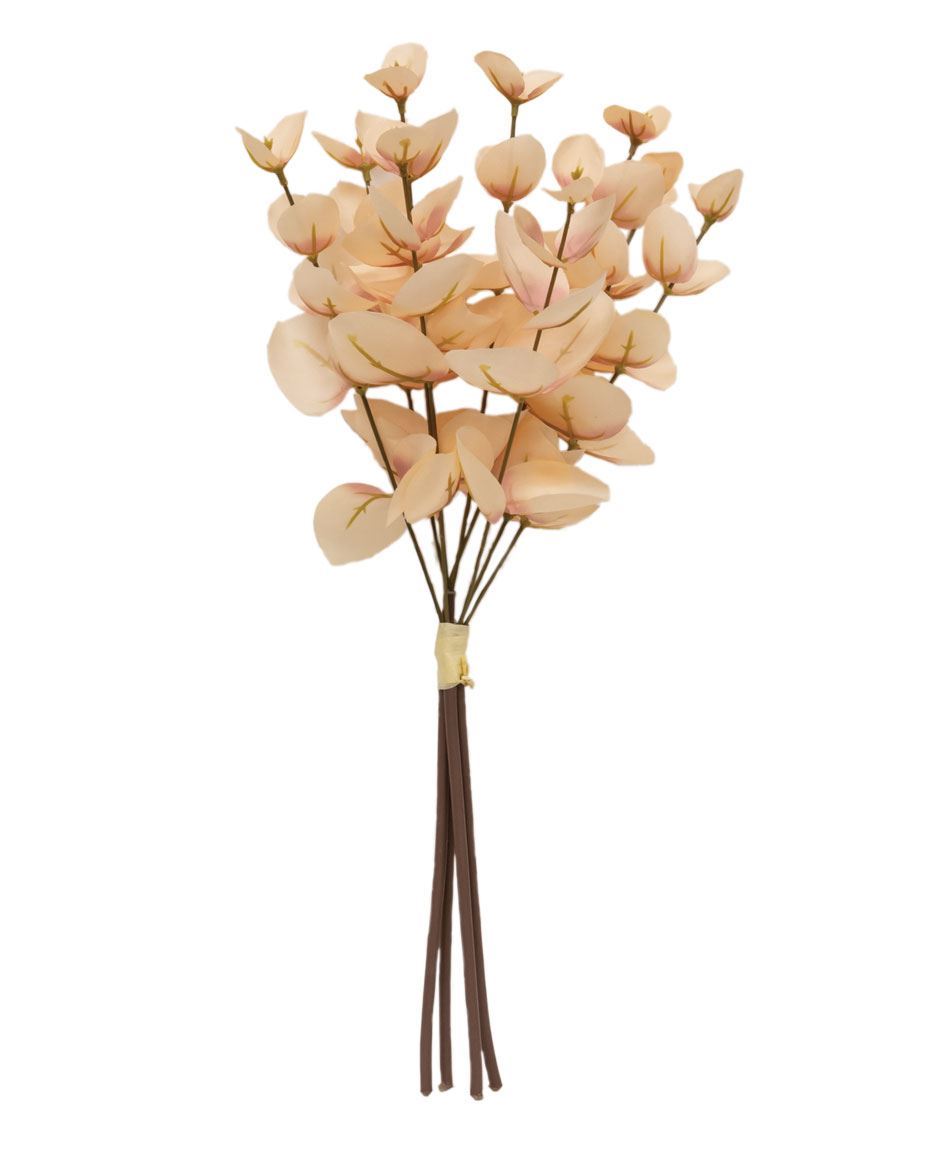 Blushing Eucalyptus Bundle
