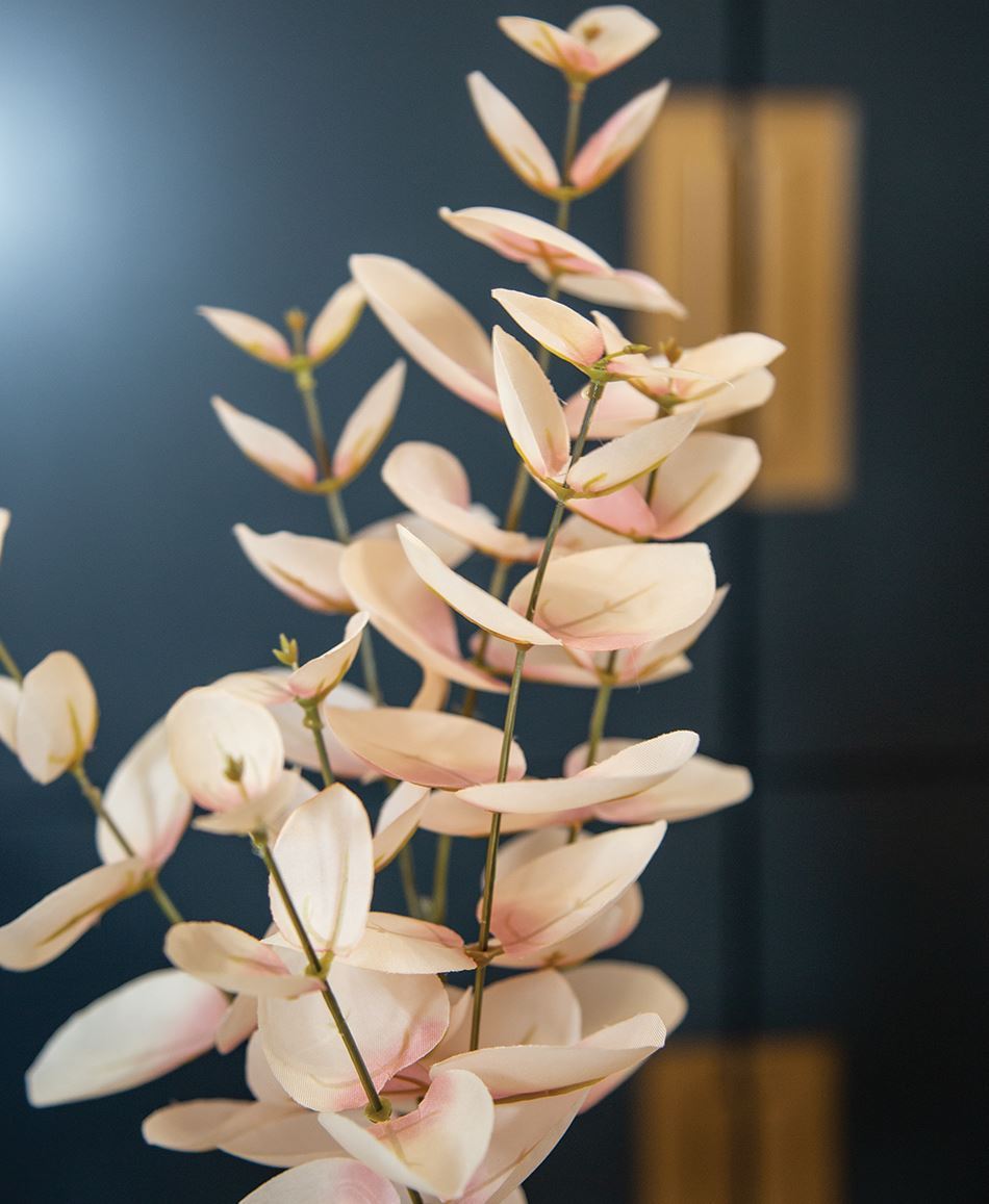 Blushing Eucalyptus Bundle