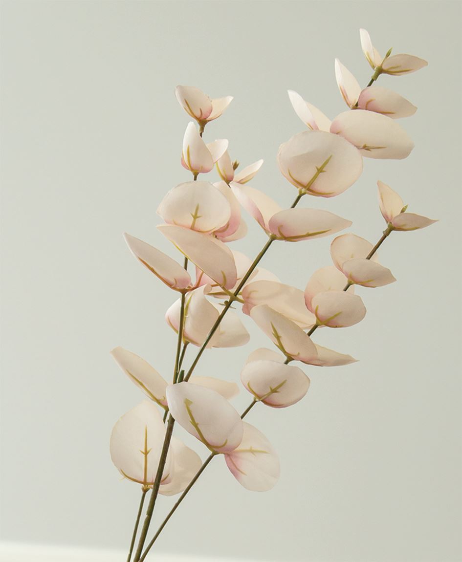 Blushing Eucalyptus Spray