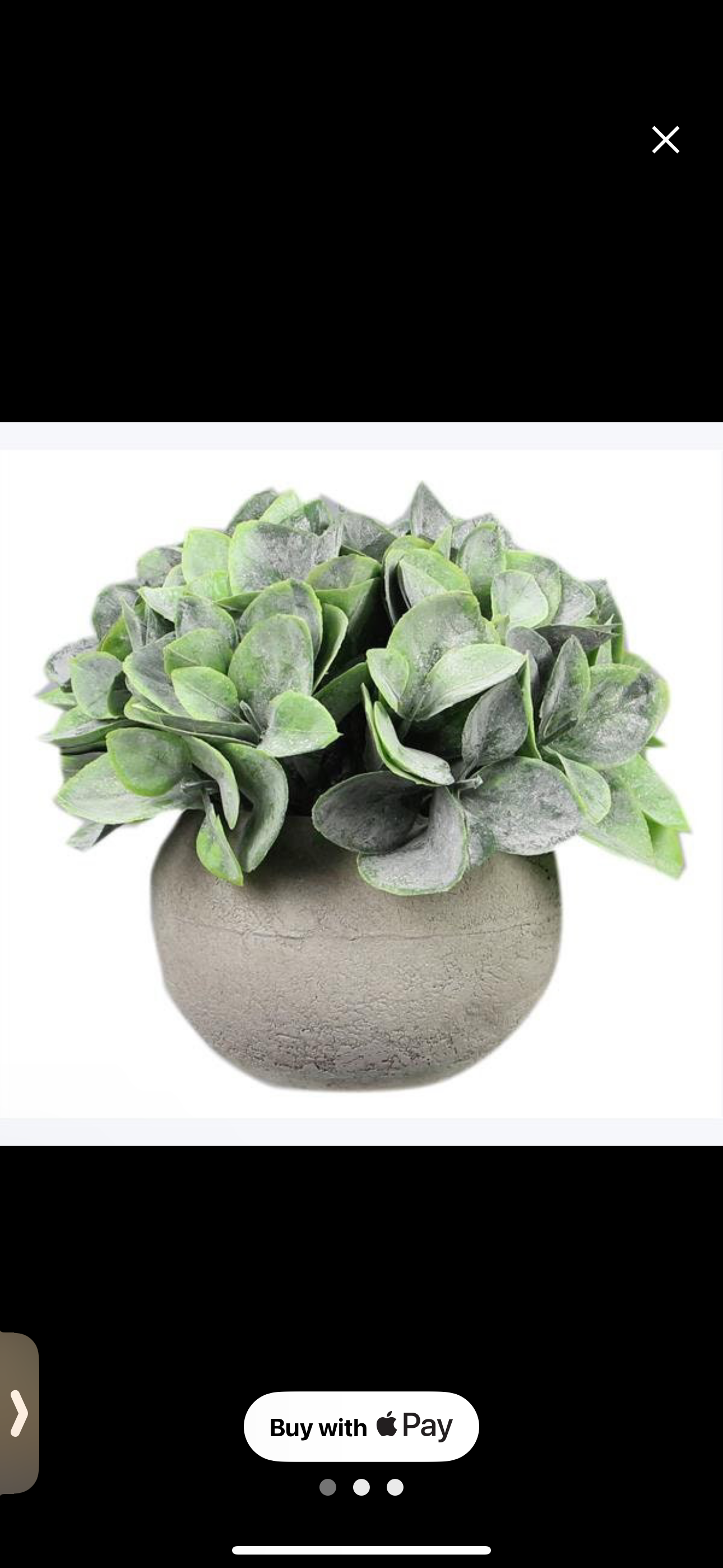 Spade Leaf Plant Pot (small)