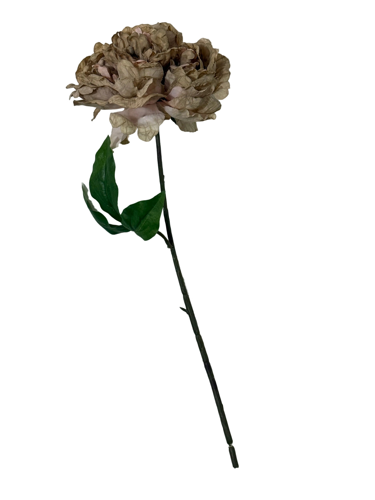 Dusty Pink Peony Spray