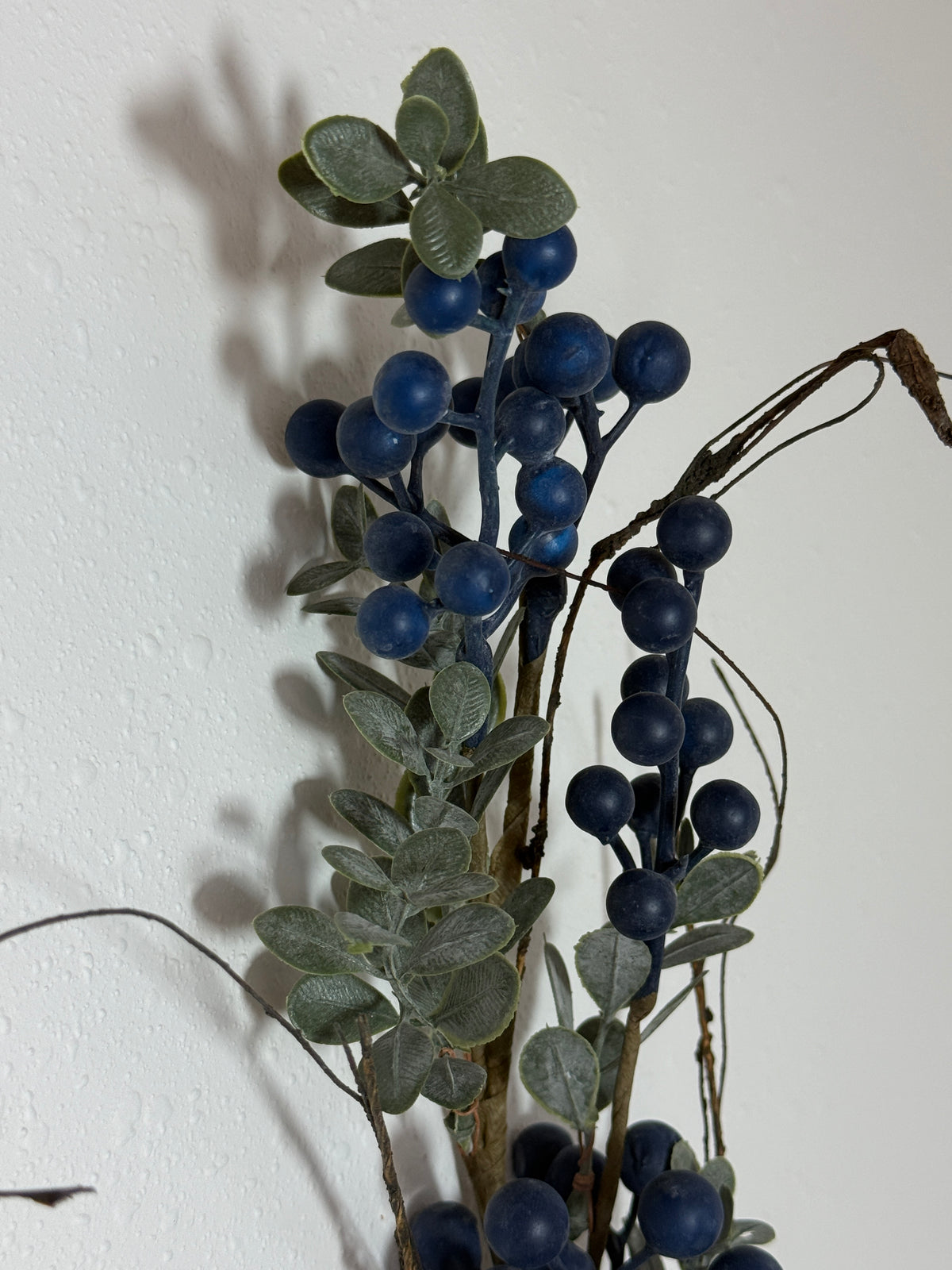 Blue Berry stem