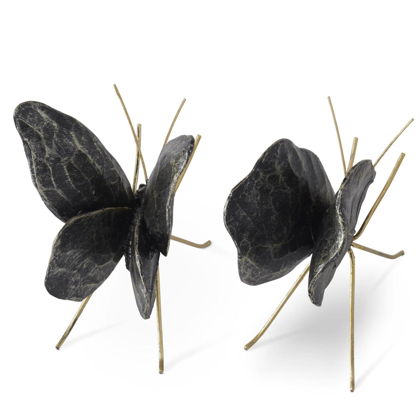 Black & Gold Leaf Wing Butterfly
