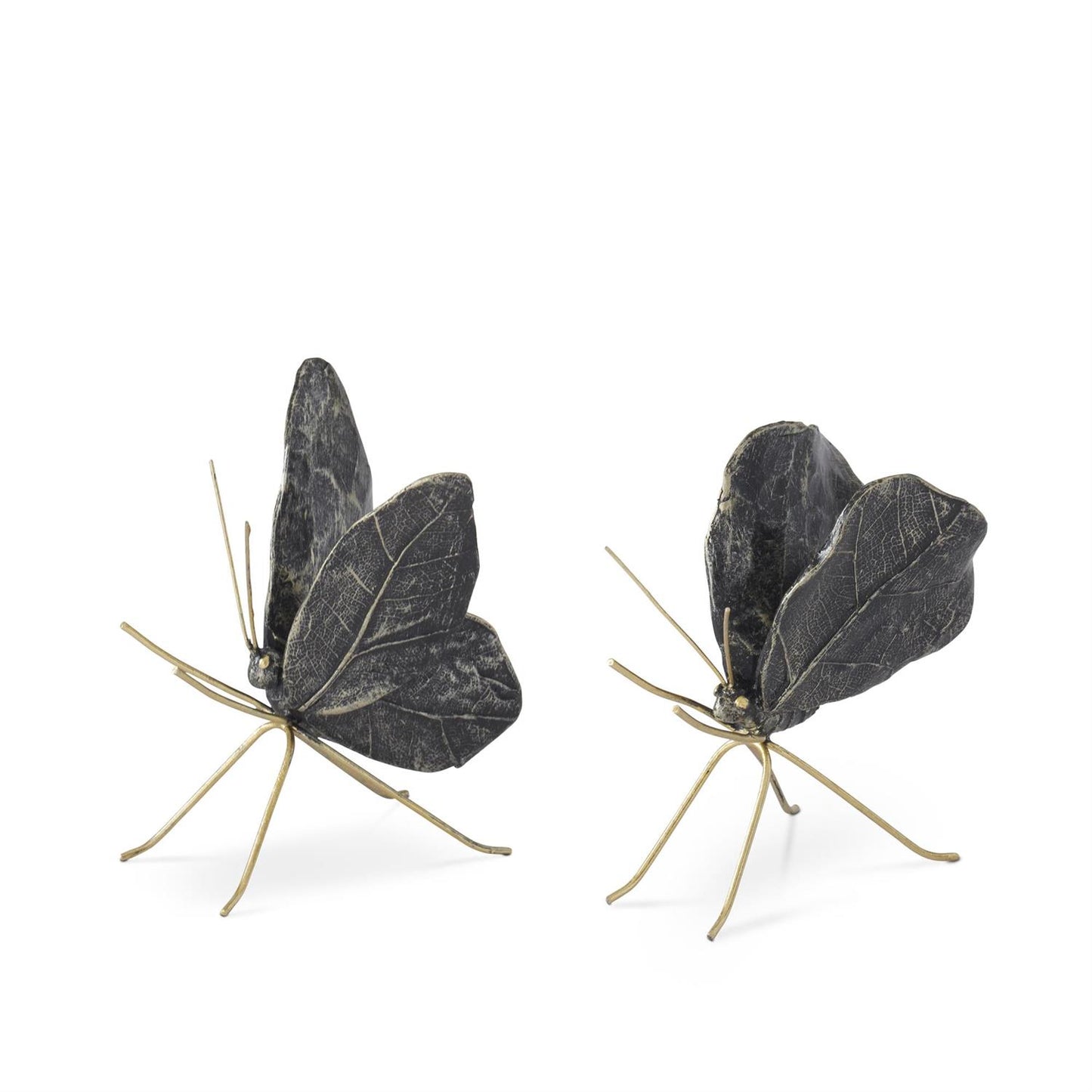 Black & Gold Leaf Wing Butterfly