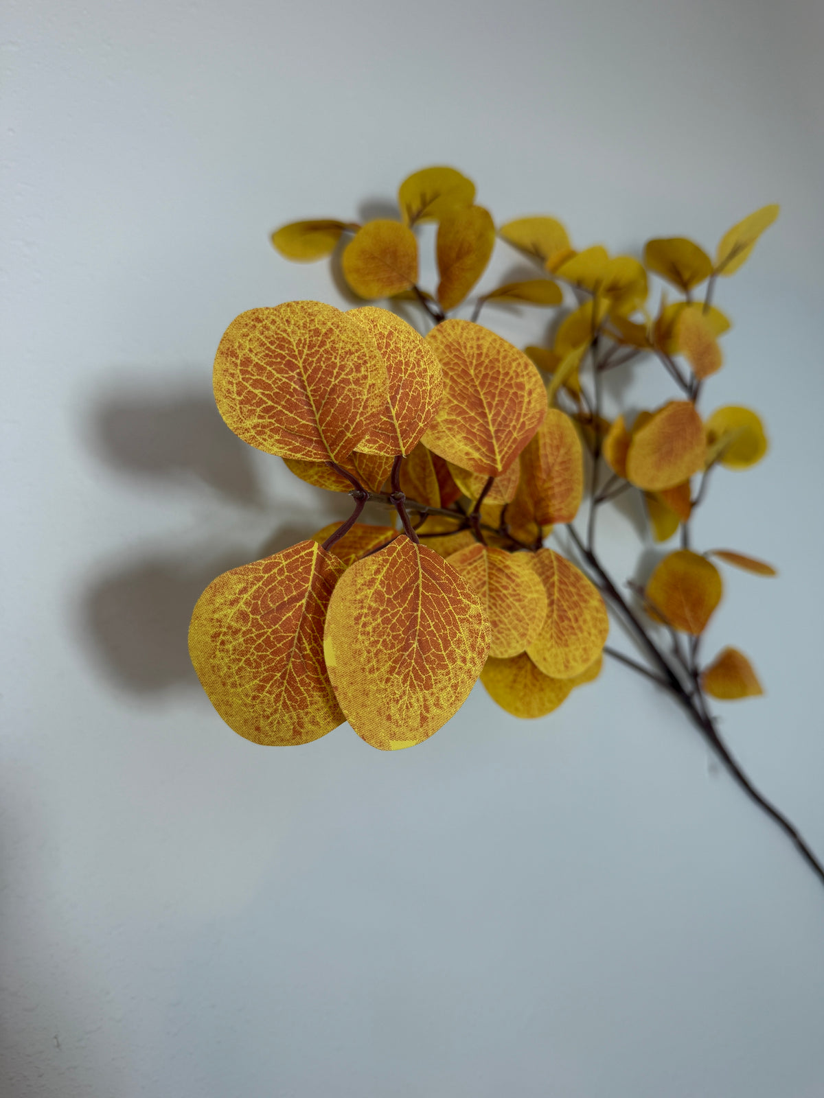 Misc. Leaf Eucalyptus Spray