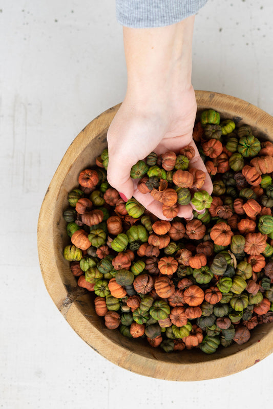 ORANGE AND GREEN PUTKA PODS  -Bowl Filler
