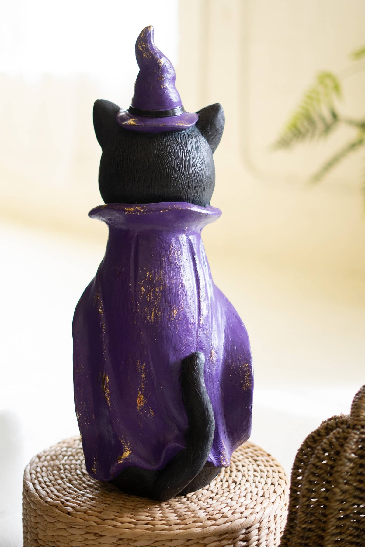Magical Black Cat