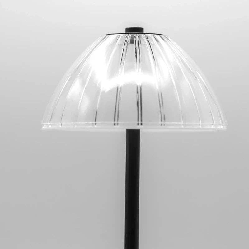 Clear Acrylic Rechargeable Table Lamp, Black, 11.8"