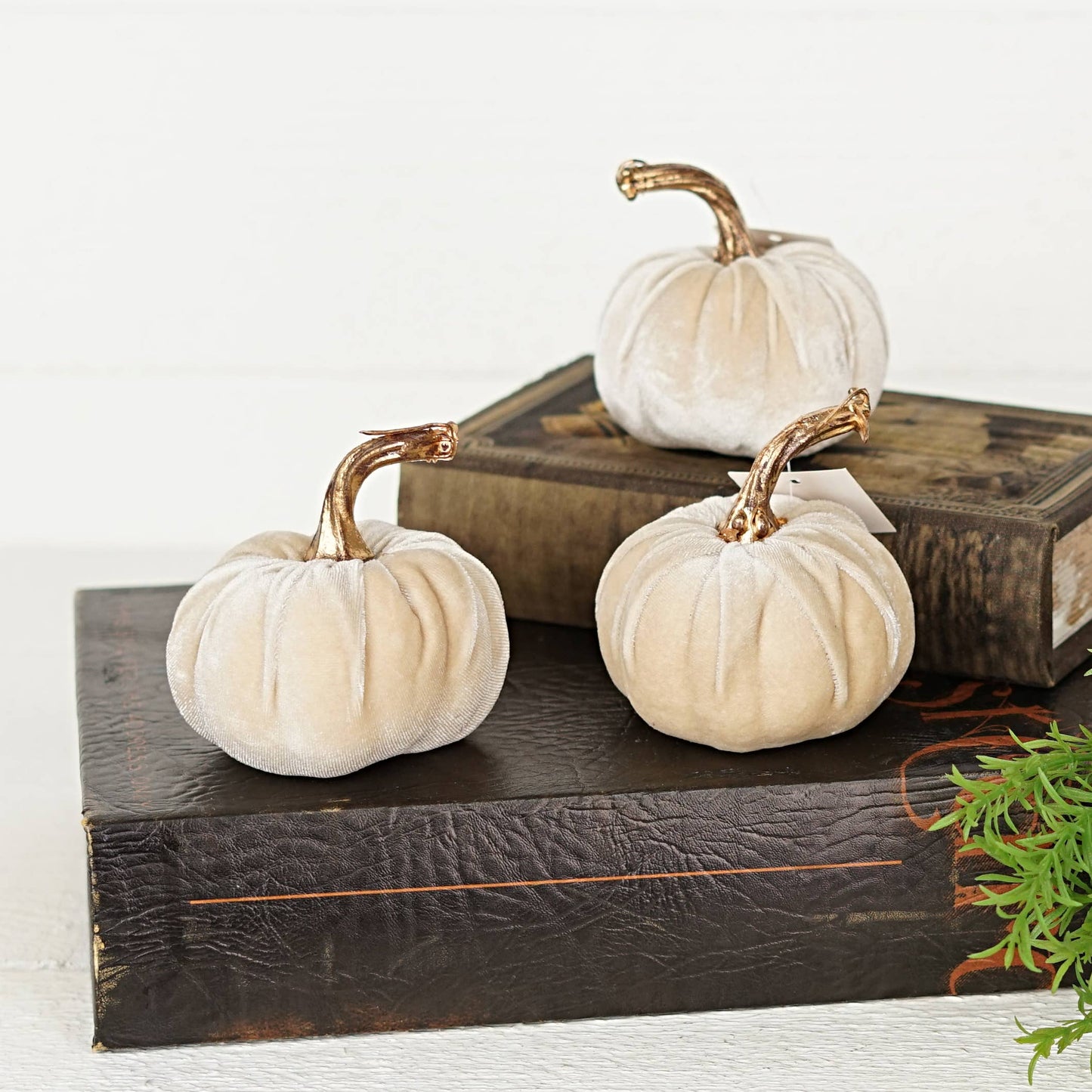 4 Inch Velvet Pumpkin w/ gold stem (multiple colors)