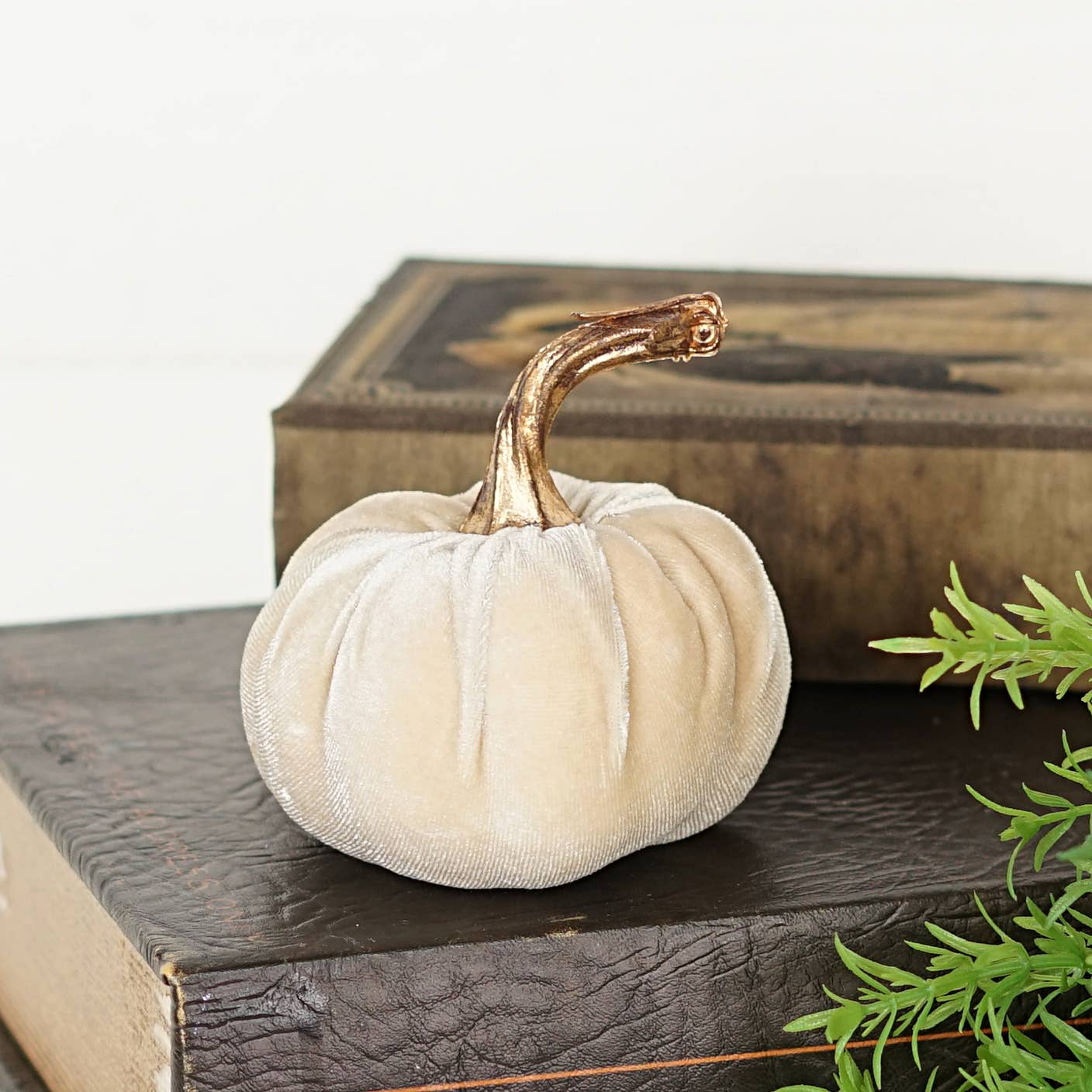 4 Inch Velvet Pumpkin w/ gold stem (multiple colors)