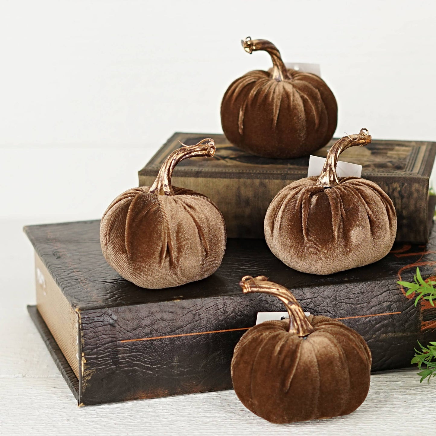 4 Inch Velvet Pumpkin w/ gold stem (multiple colors)
