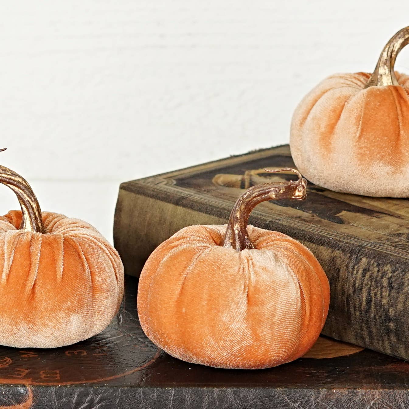 4 Inch Velvet Pumpkin w/ gold stem (multiple colors)
