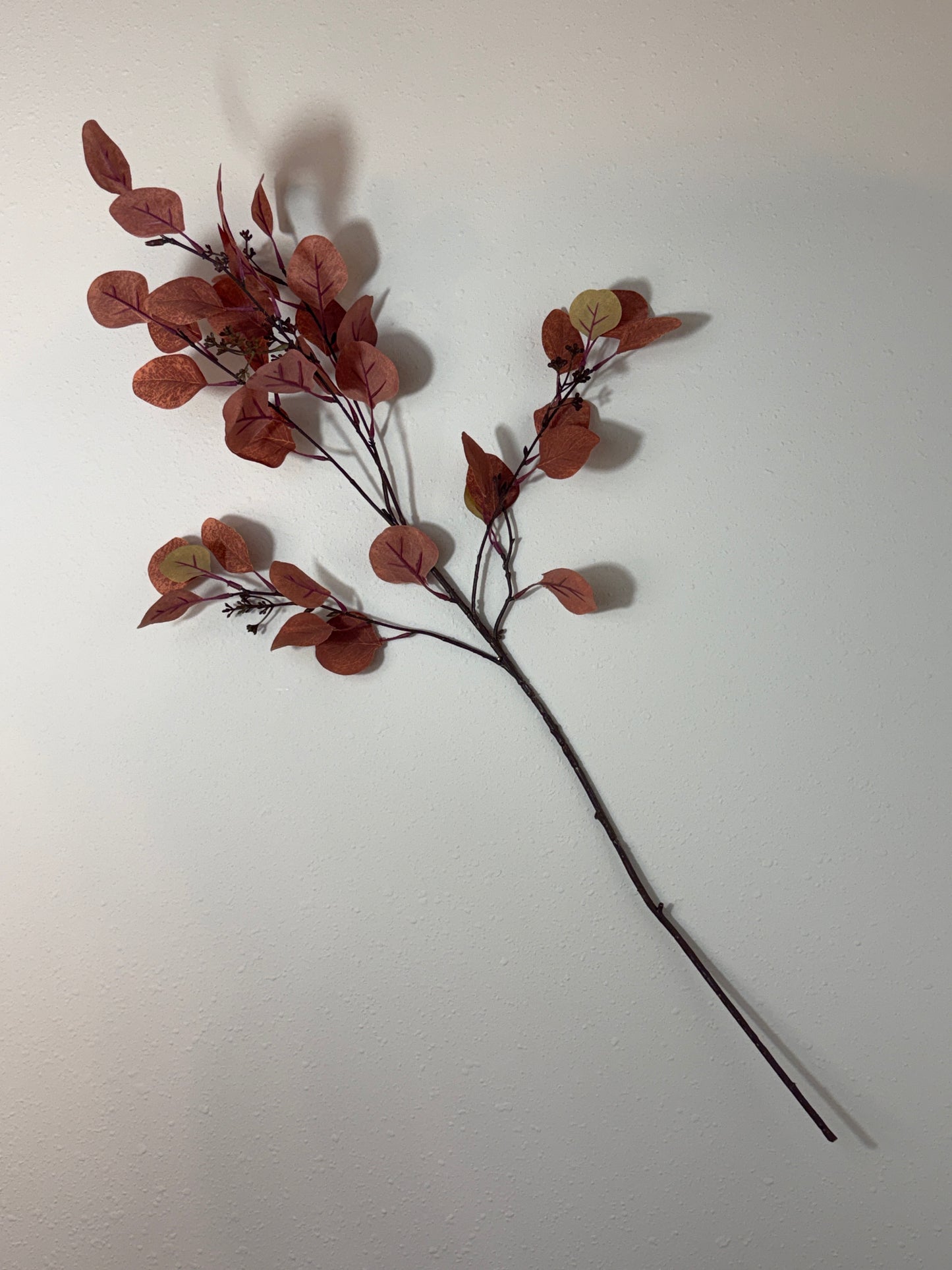 Misc. Leaf Eucalyptus Spray