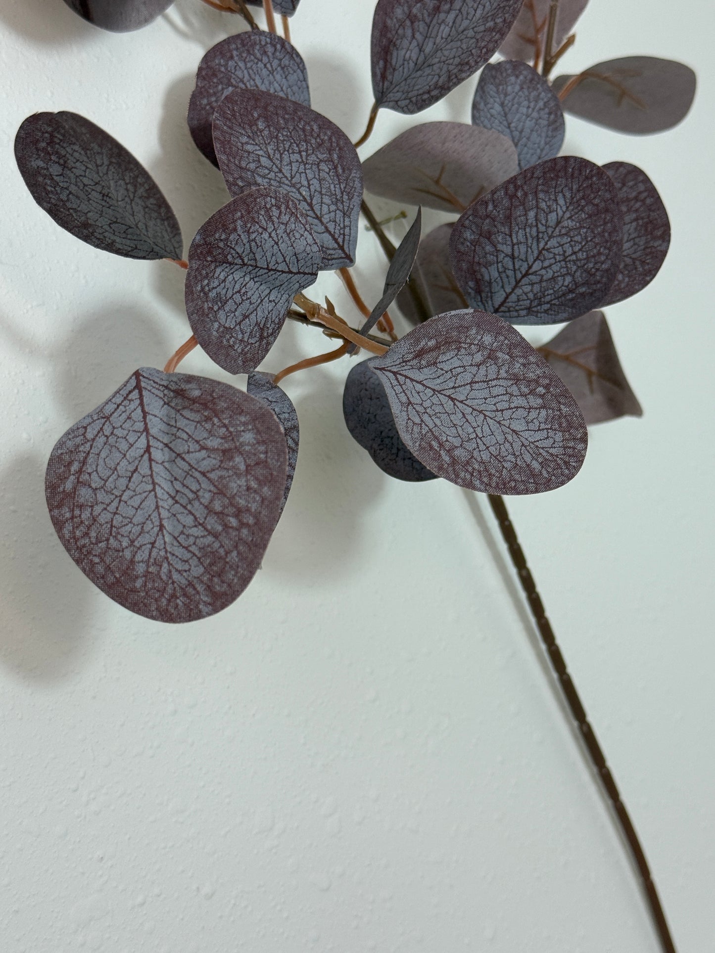 Misc. Leaf Eucalyptus Spray