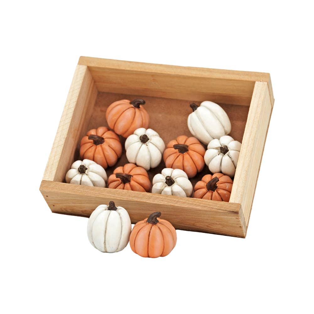 Orange & White Mini Pumpkins (2 colors)