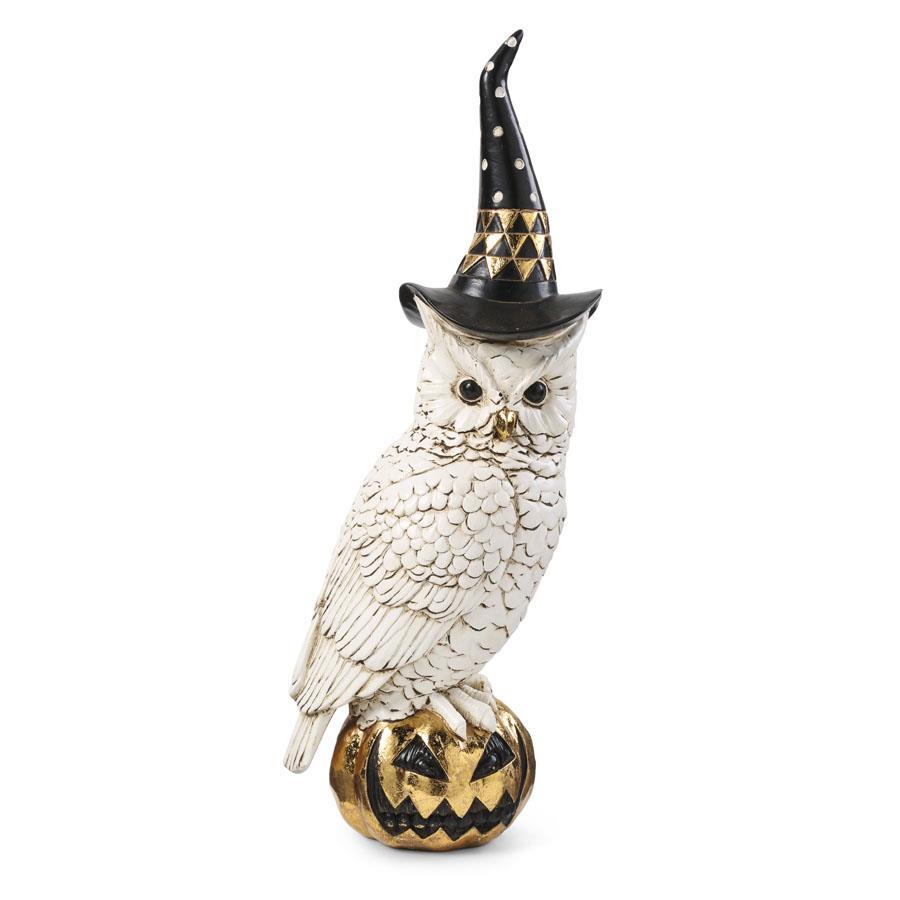 Owl w/Witch Hat standing on Pumpkin