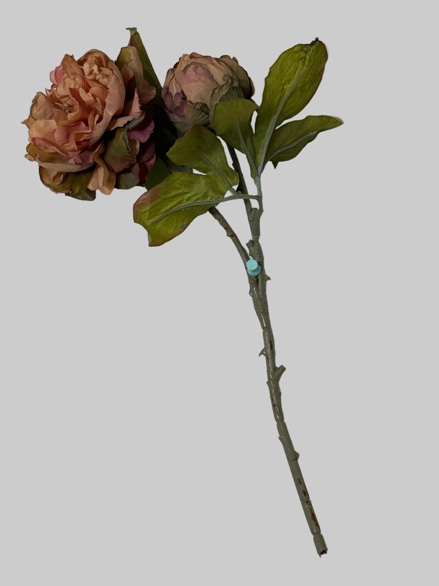 Dried Look Mauve Peony /Green