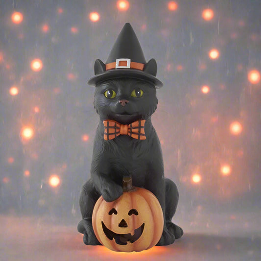 Black Cat with Led Pumpkin (2 Styles)