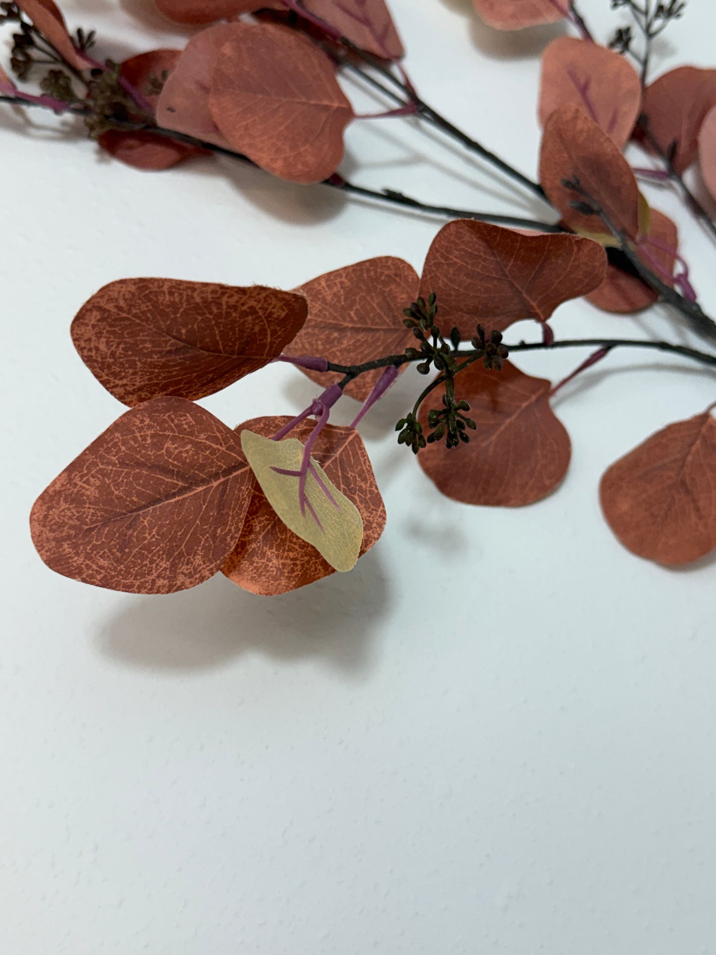 Misc. Leaf Eucalyptus Spray