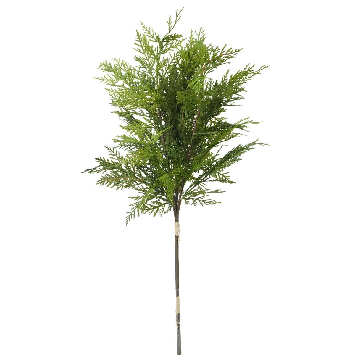 Cedar Bundle with 3 Stems – 28in.