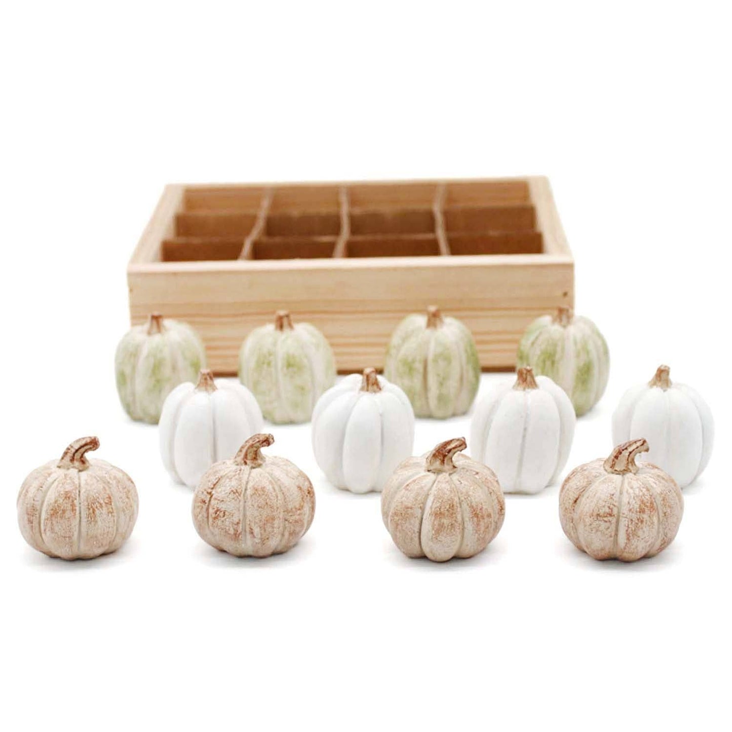 Mini Pumpkins (3 colors)