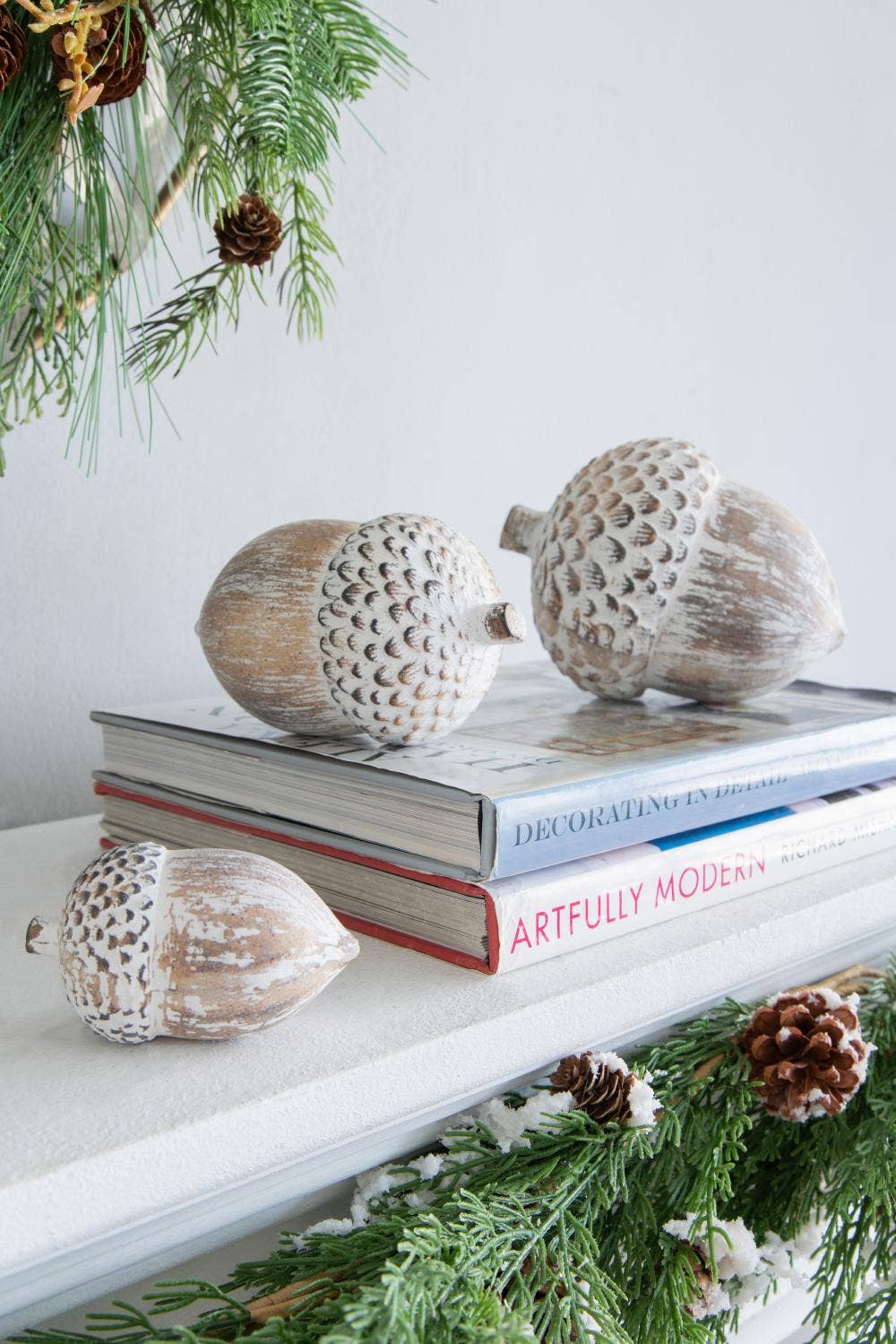 Acorn 6”